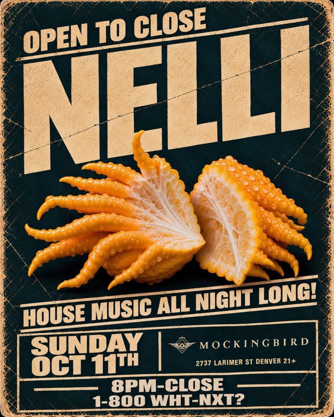 Nelli Open to Close flyer